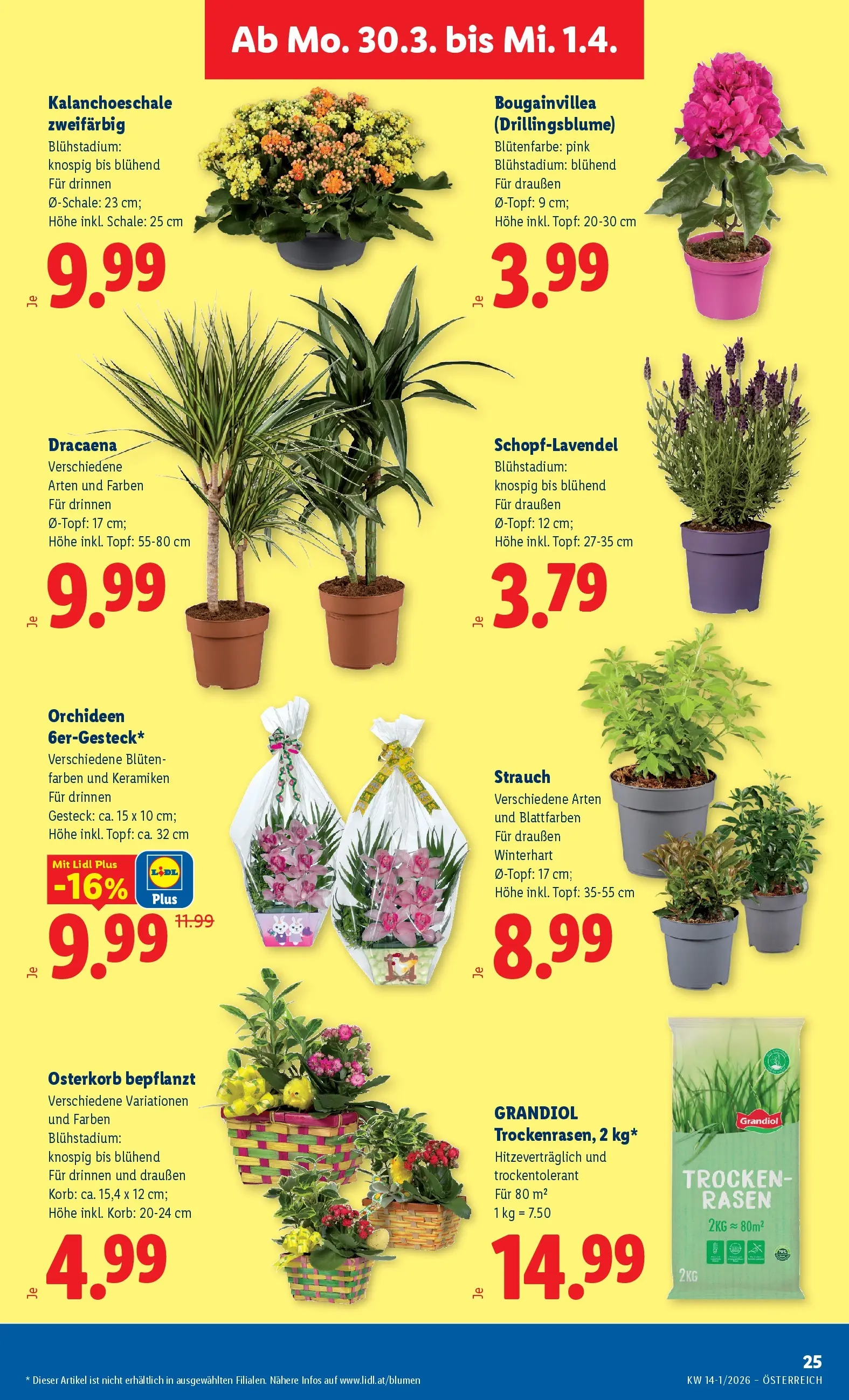 Lidl - Lidl ab 25.03.2026 - Angebote ab donnerstag | Seite: 30