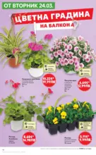 Kaufland хипермаркет MEGA изгодни цени в Kaufland с валидност до 29.03.2026 - от 23-03-26