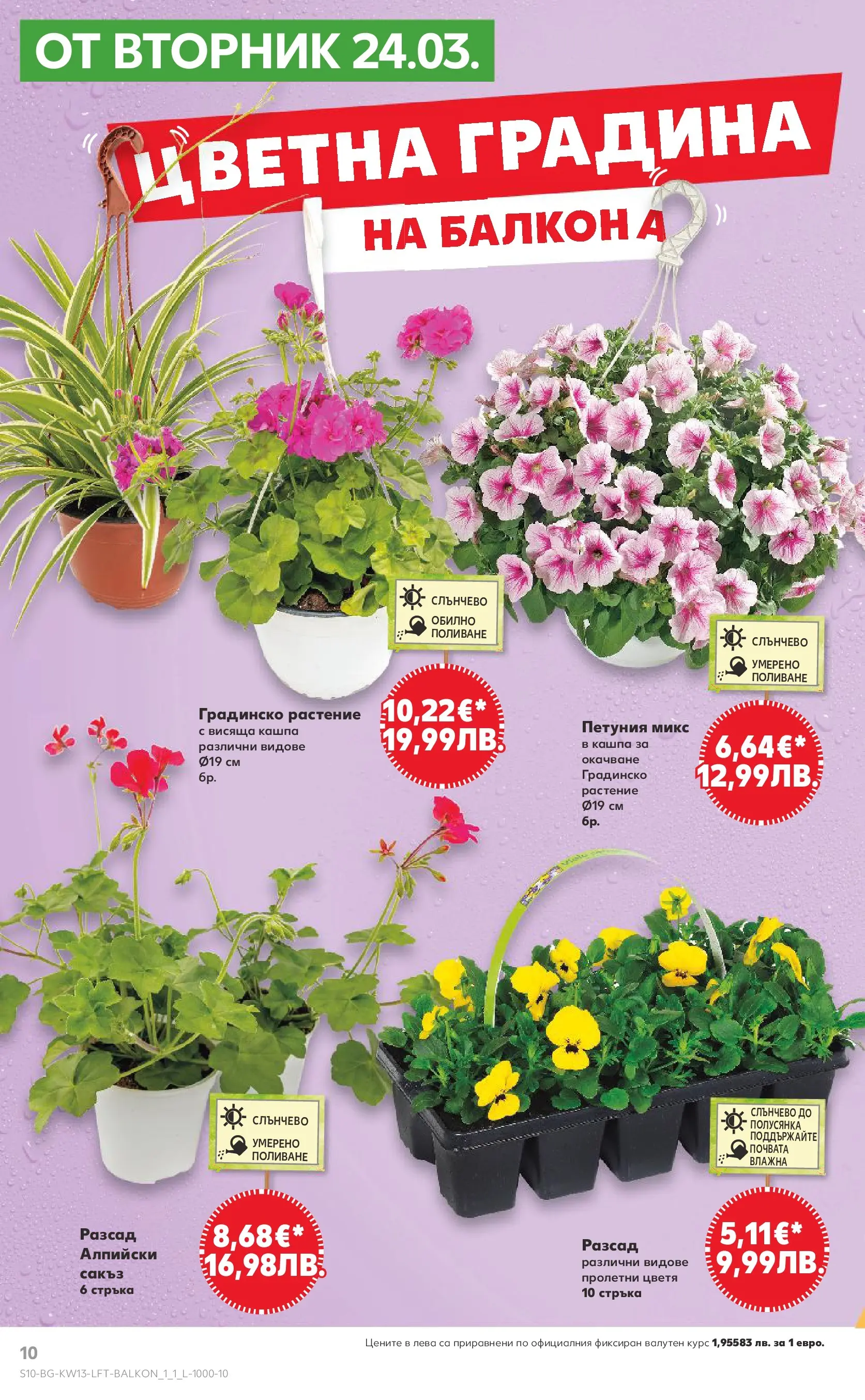 Нова Кауфланд брошура от 22.03.2026 | Страница: 10 | Продукти: Кашпа Нова Кауфланд - MEGA изгодни цени в Kaufland с валидност до 29.03.2026 от 22.03.2026 | Страница: 10 | Продукти: Кашпа