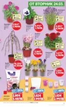 Kaufland хипермаркет MEGA изгодни цени в Kaufland с валидност до 29.03.2026 - от 23-03-26