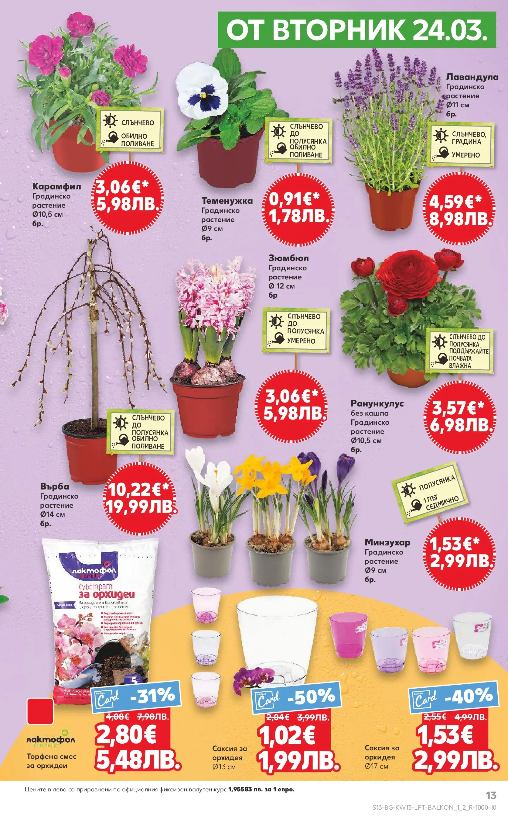 Нова Кауфланд - MEGA изгодни цени в Kaufland с валидност до 29.03.2026 от 22.03.2026 | Страница: 13 | Продукти: Кашпа, Орхидея, Карамфил, Саксия