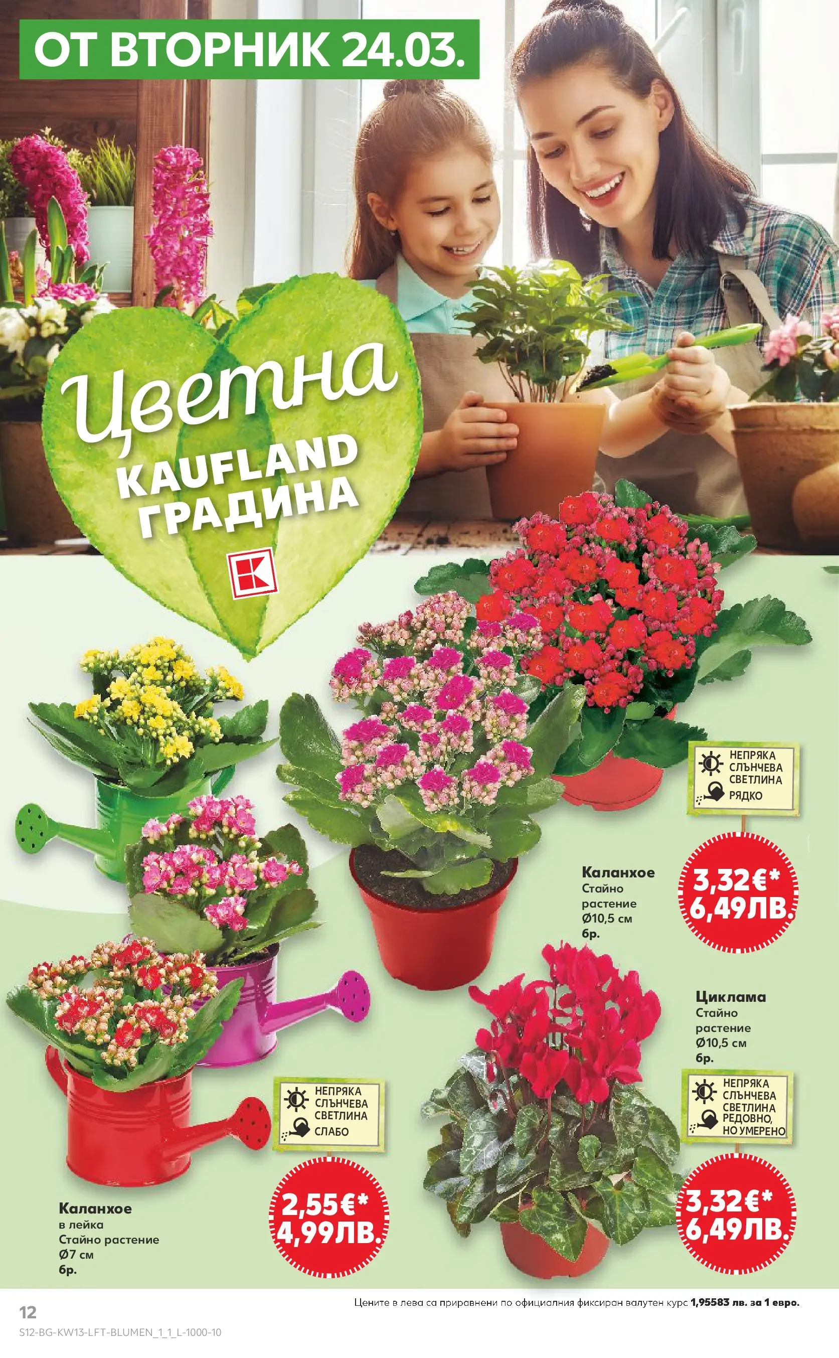 Нова Кауфланд - MEGA изгодни цени в Kaufland с валидност до 29.03.2026 от 22.03.2026 | Страница: 12 | Продукти: Лейка