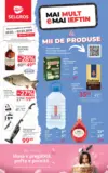 Catalog Selgros p&acirc;nă &icirc;n data de 02.04.2026