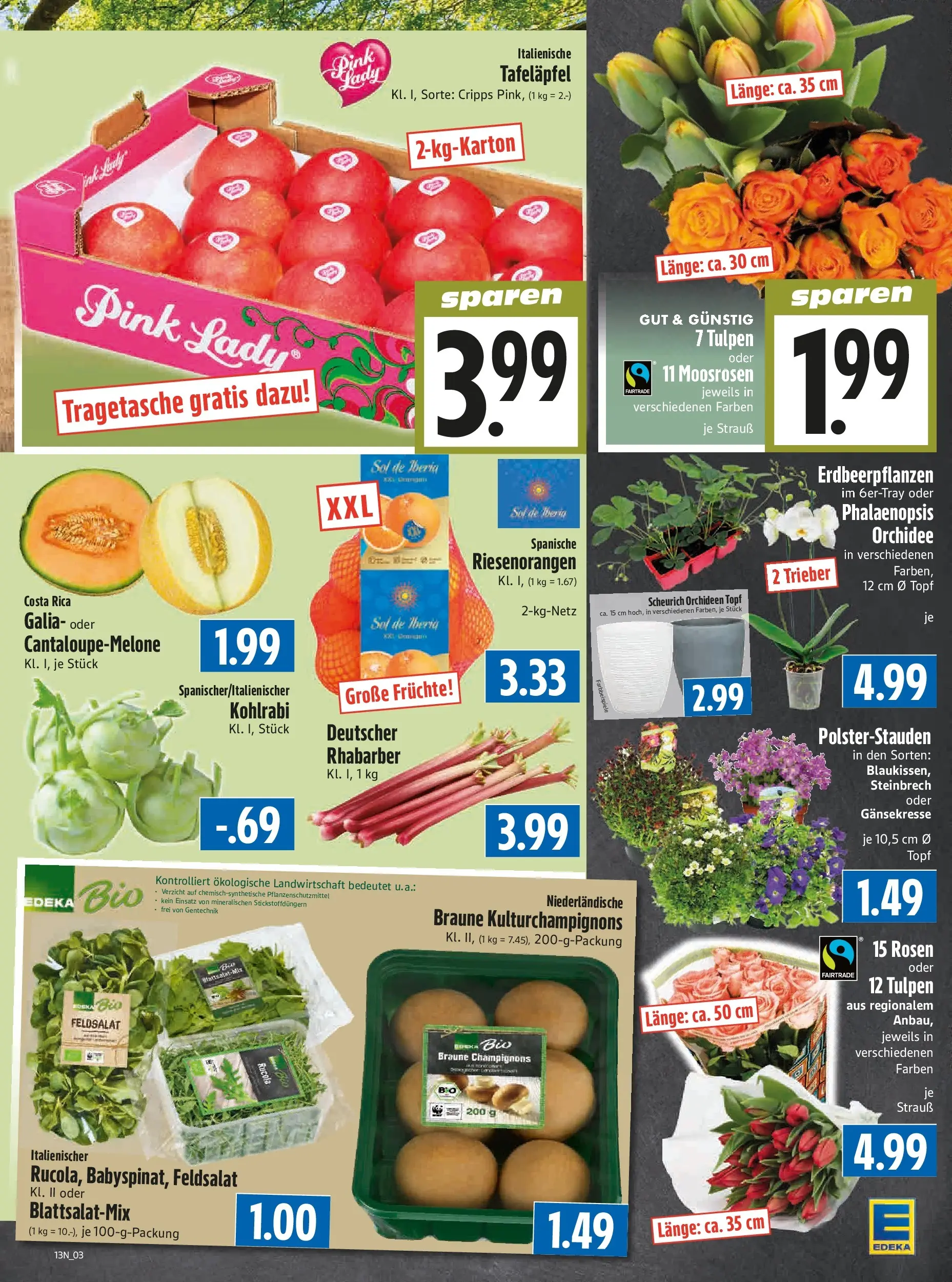 Angebote - Edeka Hahner: Wochenangebote (ab 22.03.2026) zum Blättern | Seite: 5 | Produkte: Orchidee, Rucola, Champignons, Rhabarber