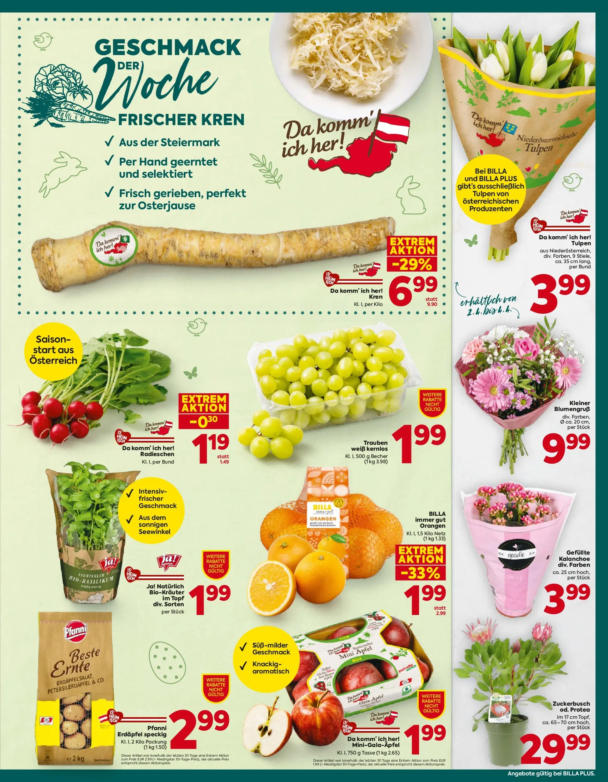 Billa Plus - BILLA PLUS: Flugblatt Wien von 25.03.2026 - Aktuelle Angebote | Seite: 15 | Produkte: Äpfel, Orangen