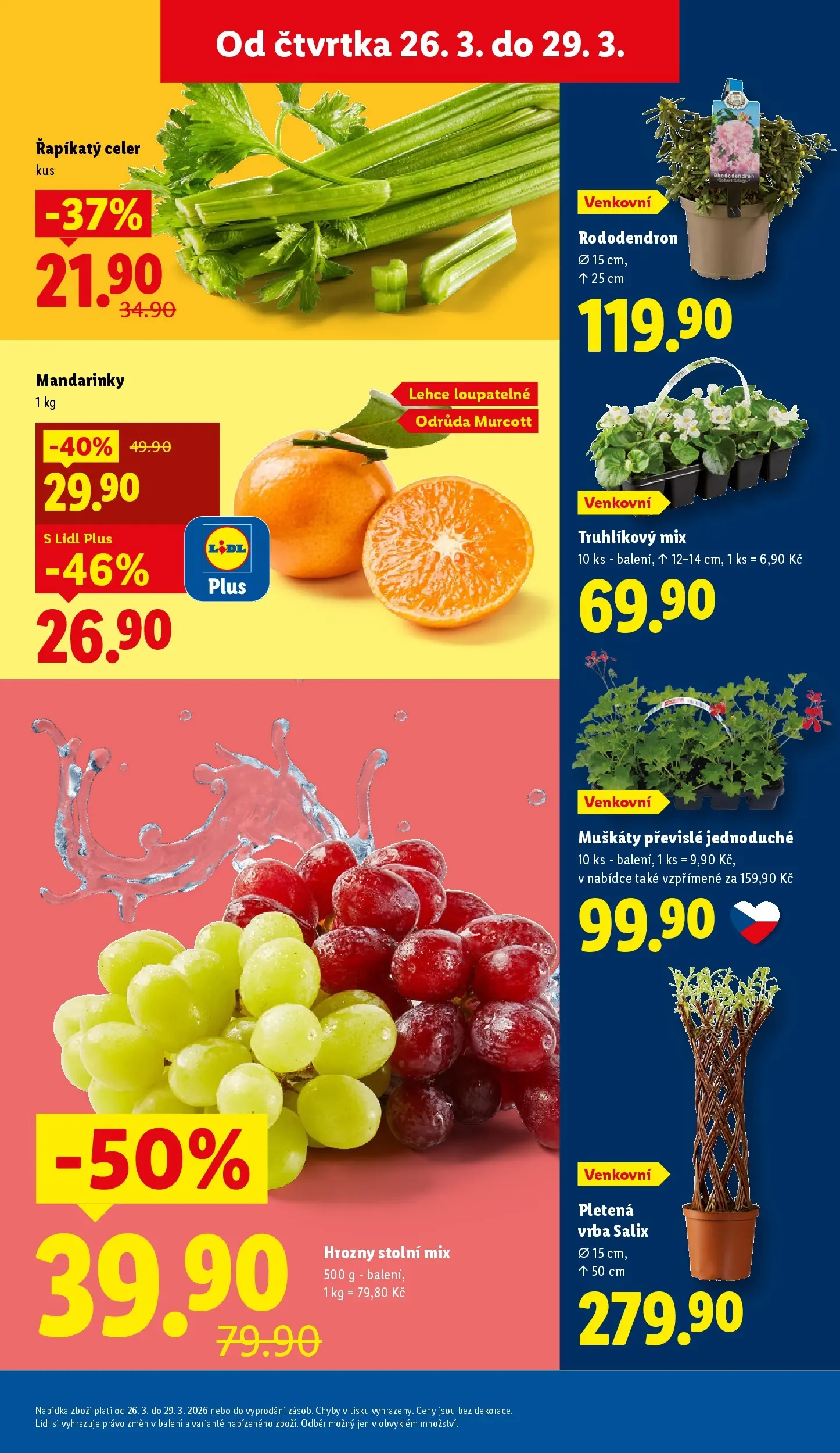 Lidl leták od 25.03.2026 - Nový akční leták | Strana: 11 | Produkty: Muškáty, Mandarinky, Řapíkatý celer, Hrozny