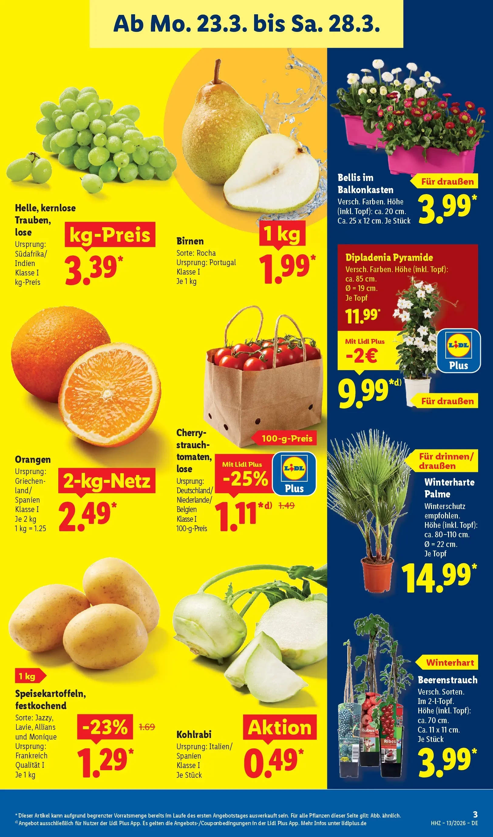 Lidl Prospekt Hof-innenstadt (ab 22.03.2026) zum Blättern » Angebote | Seite: 5 | Produkte: Kohlrabi, Orangen