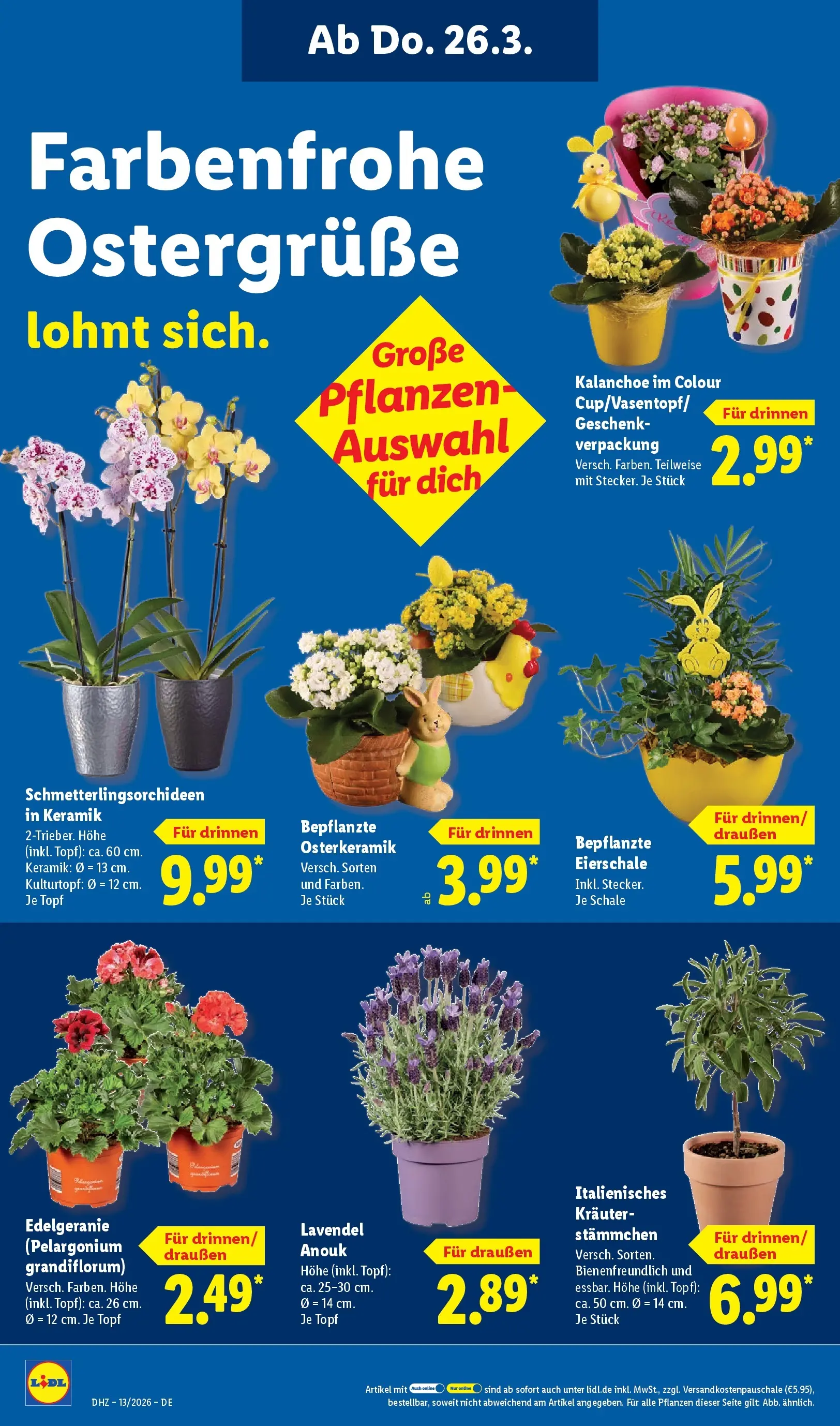 Lidl Prospekt Hof-innenstadt (ab 22.03.2026) zum Blättern » Angebote | Seite: 18 | Produkte: Top, Lavendel