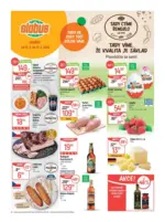 Globus Globus 13 26 L1 &ndash; do 31.03.2026