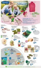 Rossmann: Wochenangebote