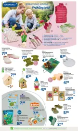 Rossmann: Wochenangebote