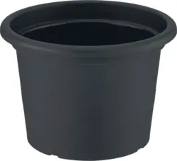 PARKSIDE&reg; Саксия &Oslash;15 см