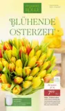 Pflanzen-K&ouml;lle: Bl&uuml;hende Osterzeit