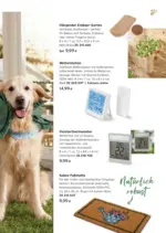 Tchibo/Eduscho Tchibo: Gl&uuml;ck w&auml;chst im Gr&uuml;nen - bis 15.04.2026