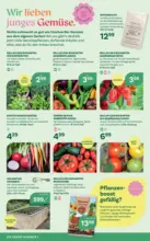 Bellaflora: Flugblatt