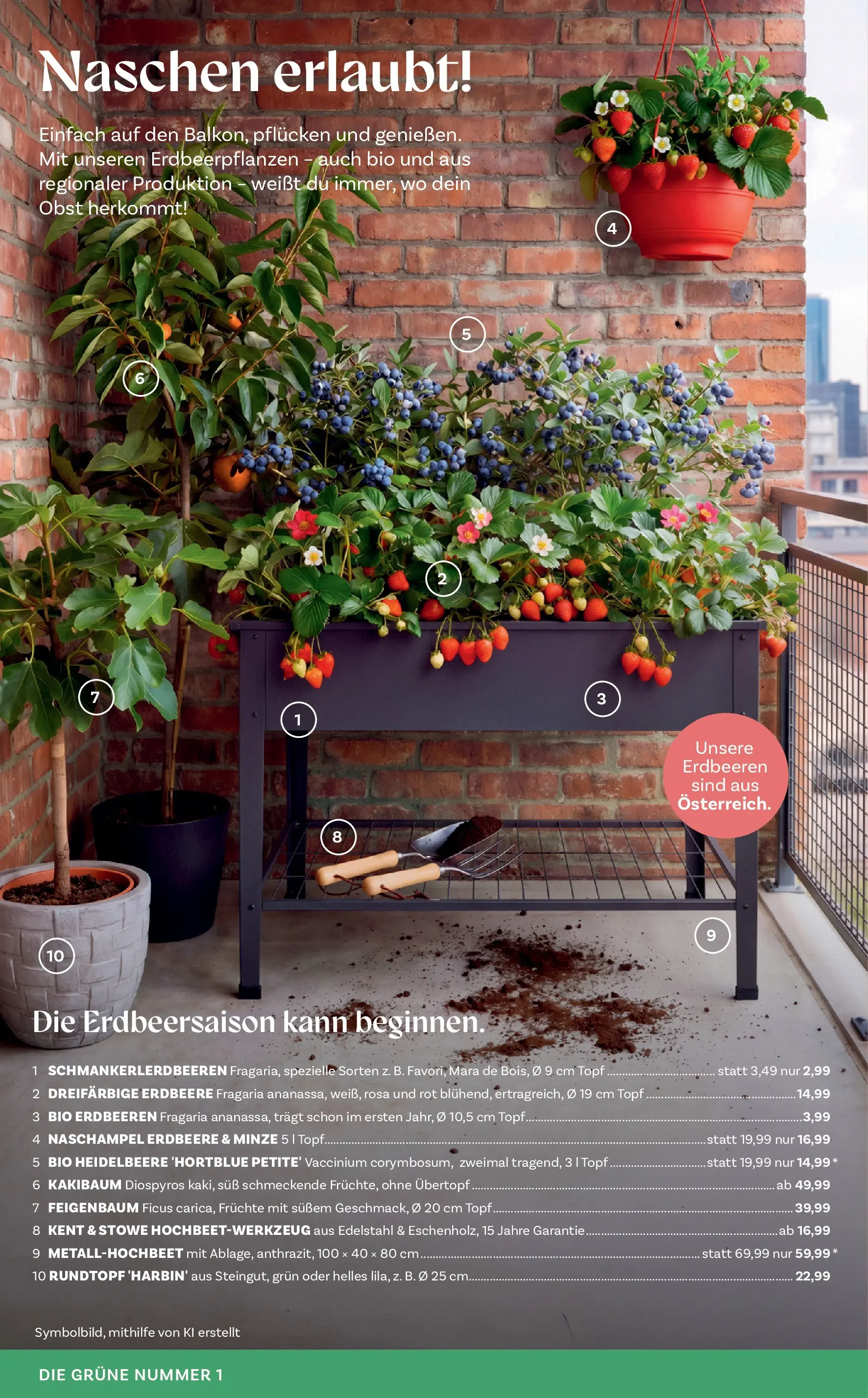 bellaflora - Bellaflora: Flugblatt von 01.04.2026 - Aktuelle Angebote | Seite: 4 | Produkte: Erdbeeren, Obst