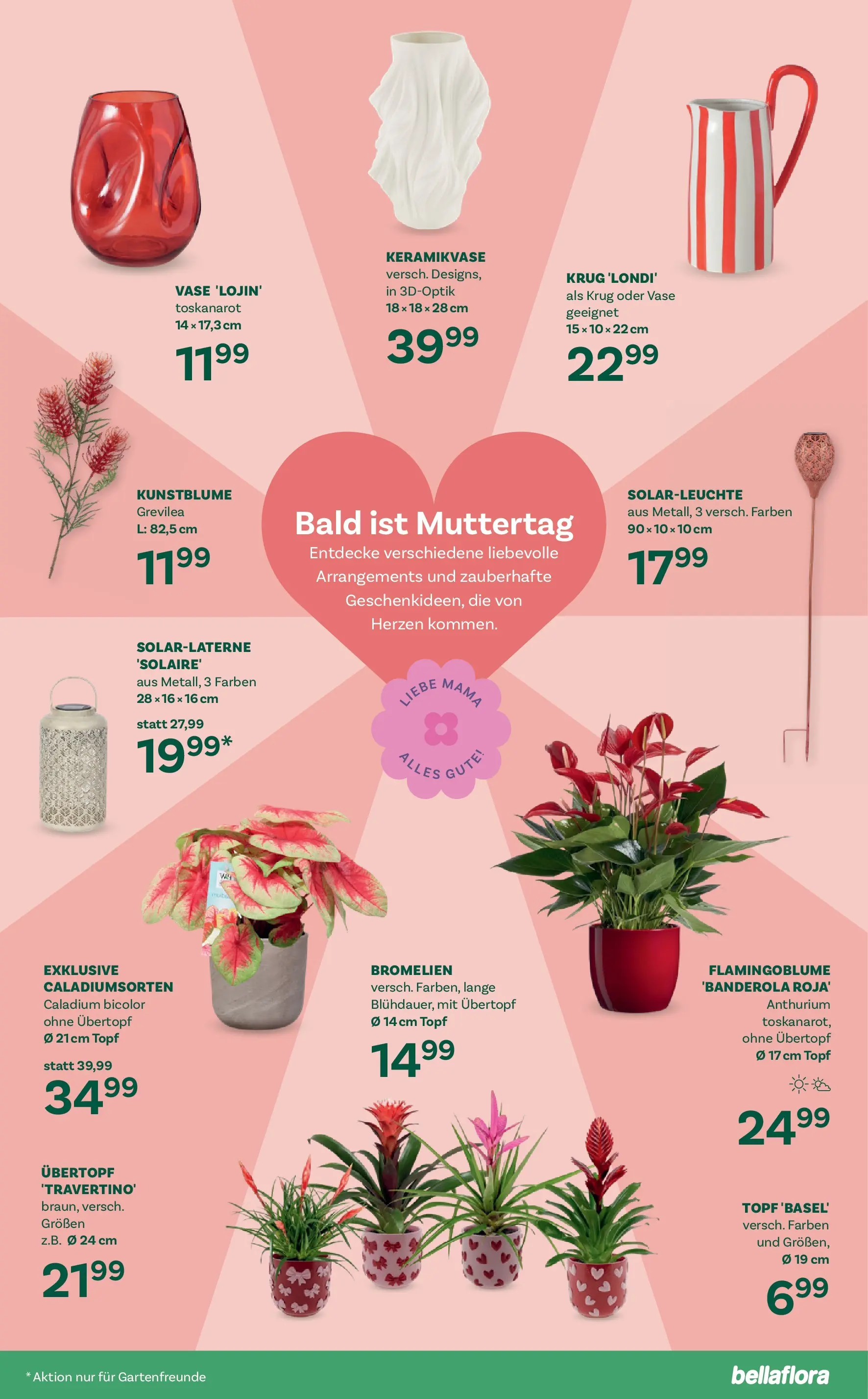 bellaflora - Bellaflora: Flugblatt von 01.04.2026 - Aktuelle Angebote | Seite: 5 | Produkte: Vase