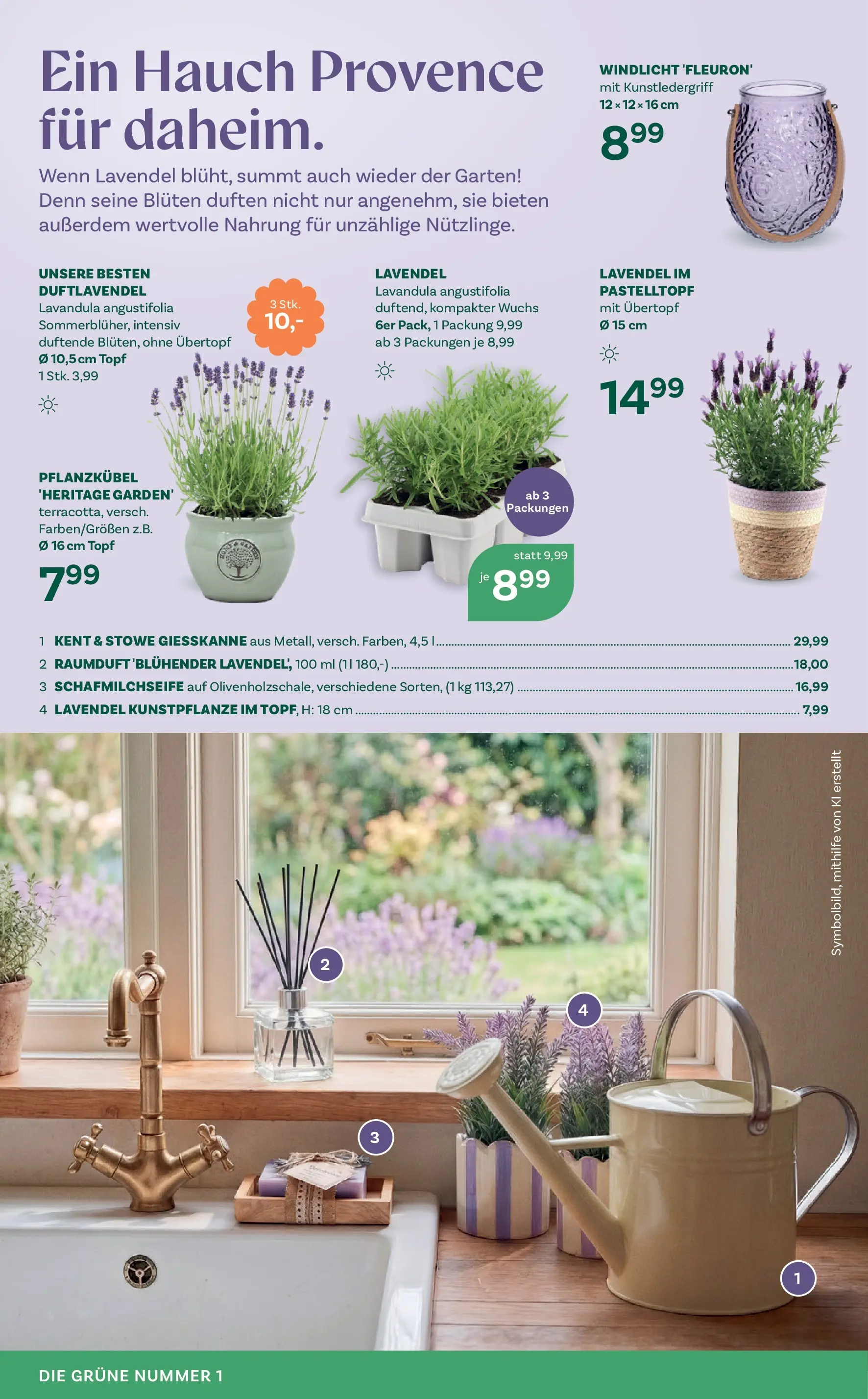 bellaflora - Bellaflora: Flugblatt von 01.04.2026 - Aktuelle Angebote | Seite: 6