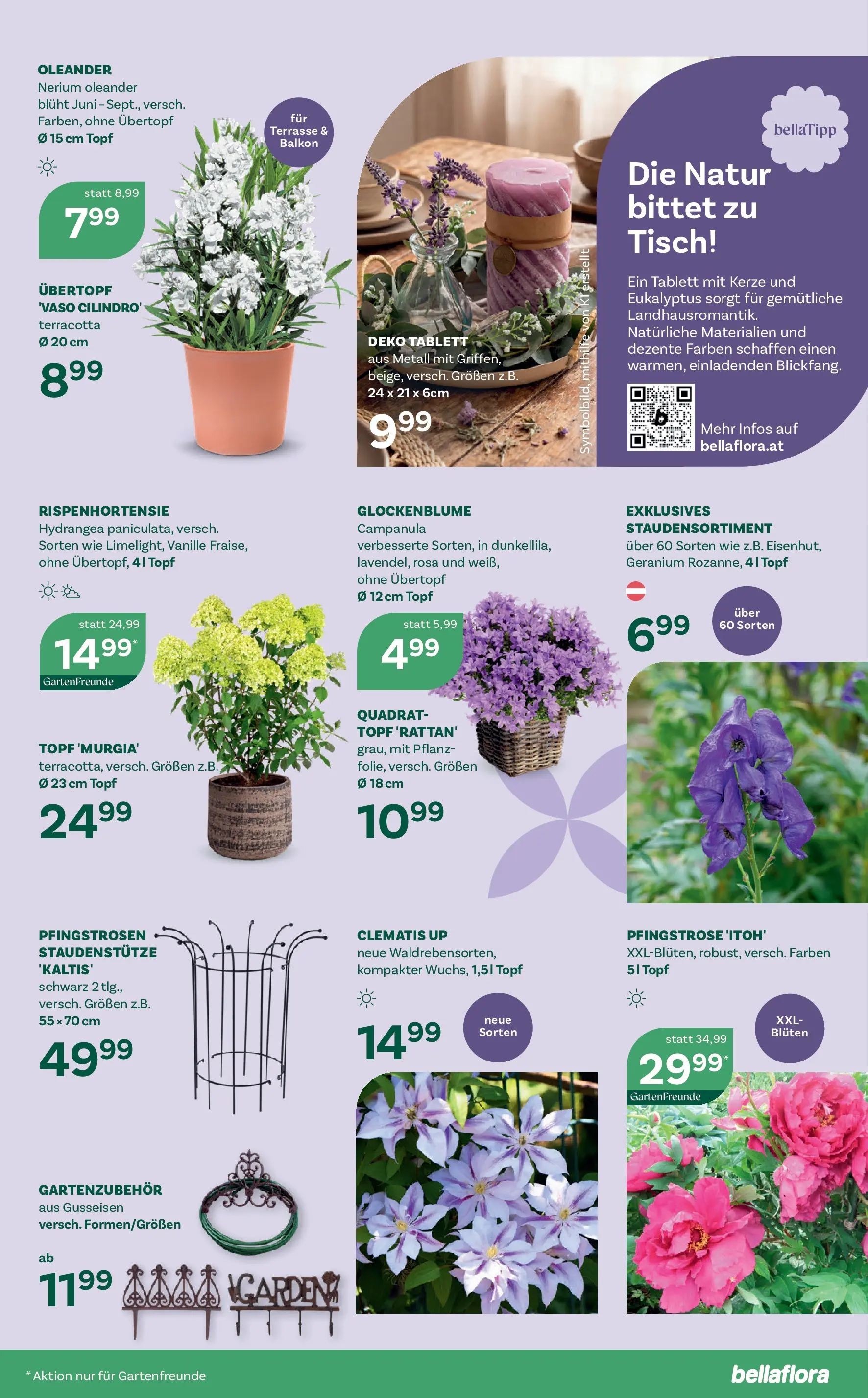 bellaflora - Bellaflora: Flugblatt von 01.04.2026 - Aktuelle Angebote | Seite: 7 | Produkte: Tisch