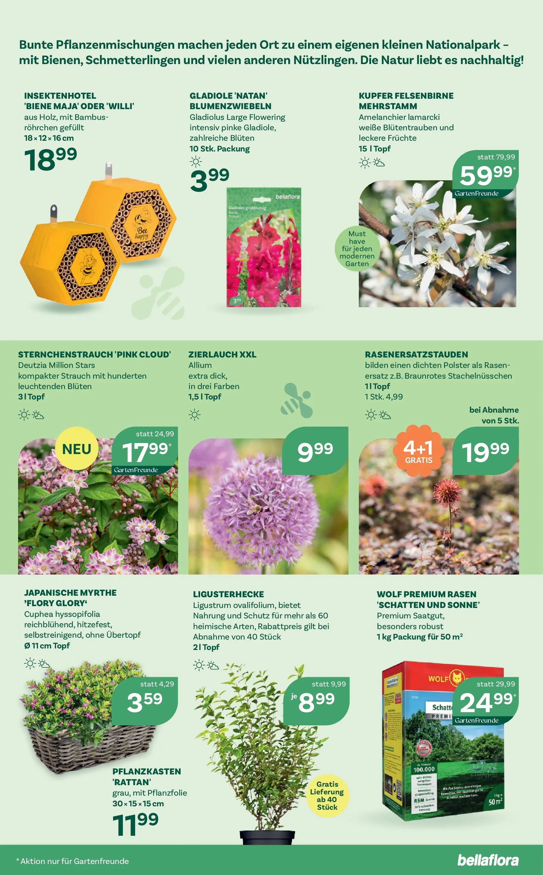 bellaflora - Bellaflora: Flugblatt von 01.04.2026 - Aktuelle Angebote | Seite: 9