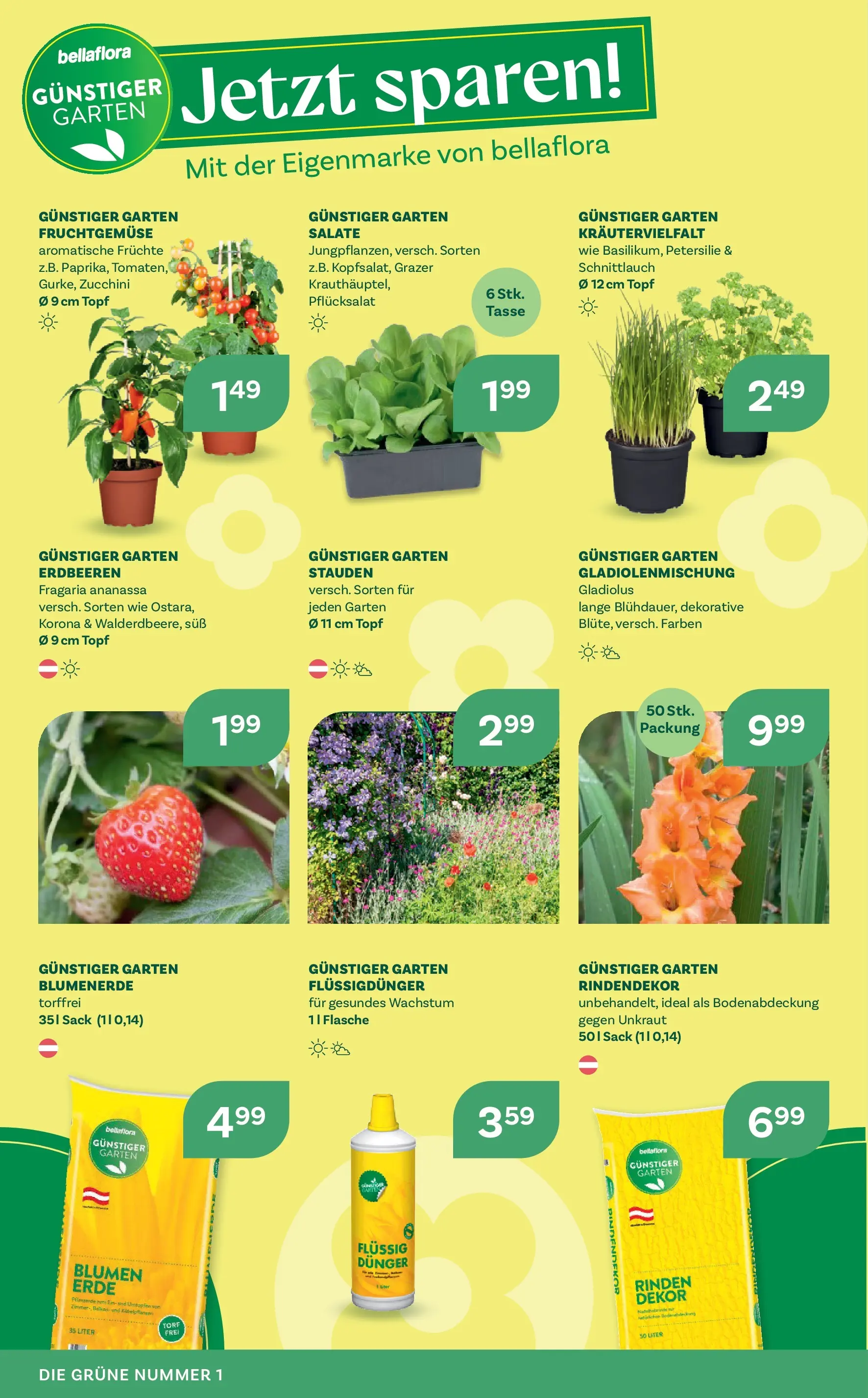 bellaflora - Bellaflora: Flugblatt von 01.04.2026 - Aktuelle Angebote | Seite: 10 | Produkte: Erdbeeren, Petersilie