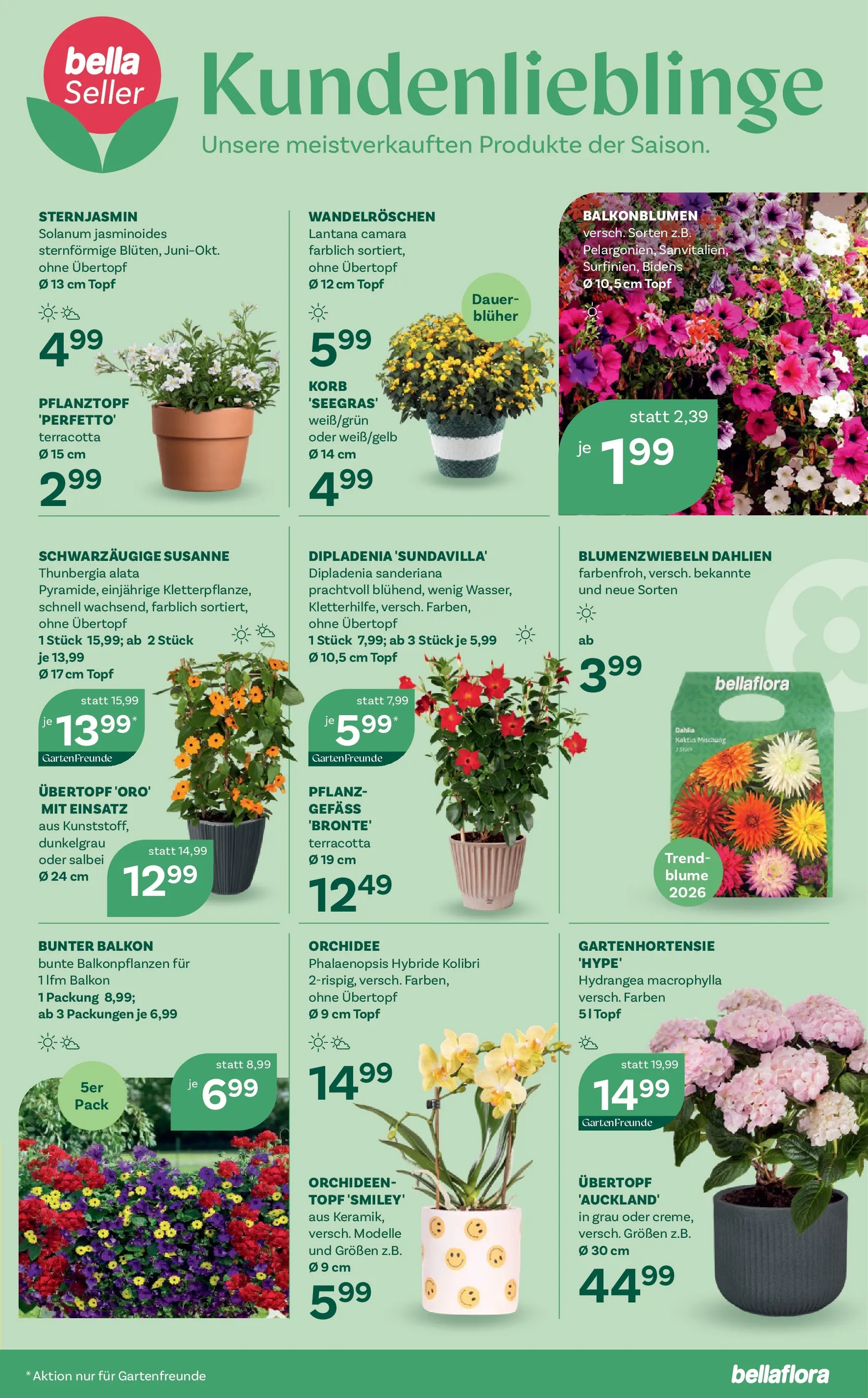 bellaflora - Bellaflora: Flugblatt von 01.04.2026 - Aktuelle Angebote | Seite: 11 | Produkte: Korb