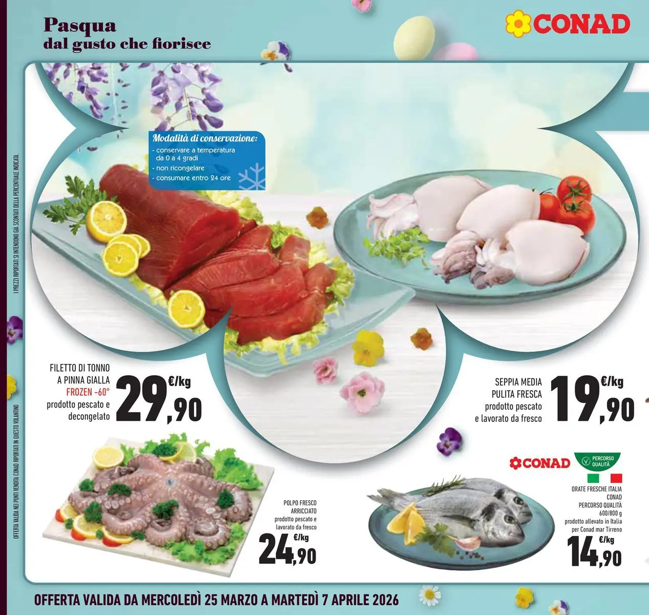 Volantino Conad dal 24/03/2026 > Anteprima | Pagina: 12 | Prodotti: Polpo, Tonno