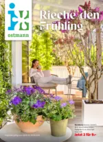 Blumen Ostmann GmbH Blumen Ostmann - Rieche den Fr&uuml;hling - bis 03.04.2026