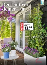 Blumen Ostmann - Rieche den Fr&uuml;hling