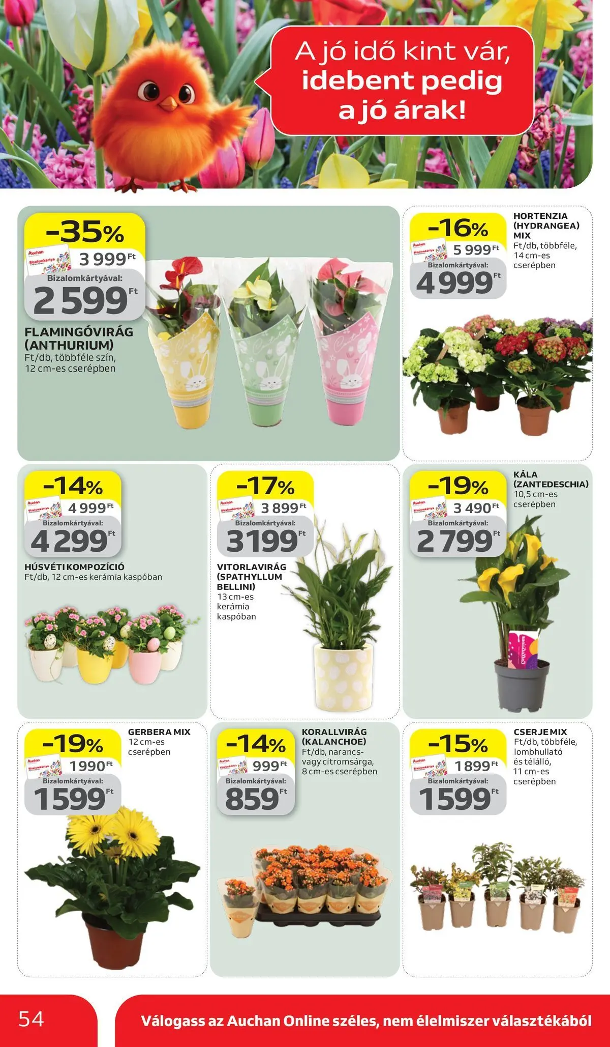 Auchan akciós újság Székesfehérvár - 2026.03.26. -tól/töl > akció, lapozható szórólap 🛍️ | Oldal: 54 | Termékek: Hortenzia, Narancs