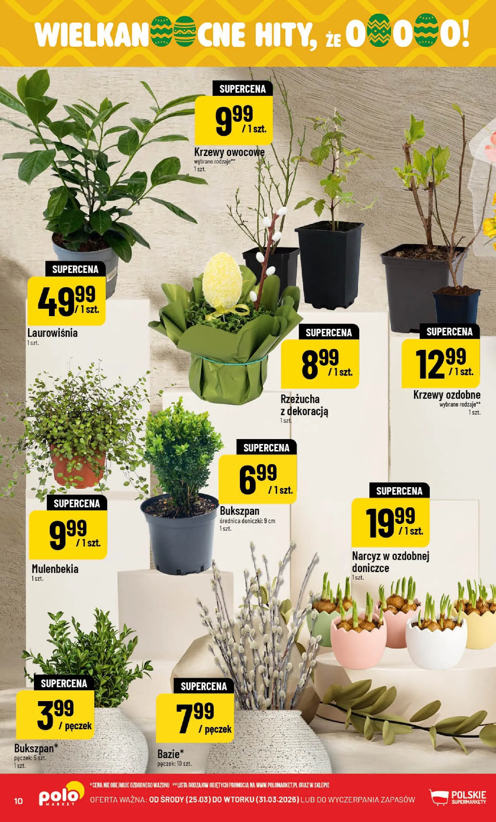 Nowa POLOmarket gazetka od jutra 25.03.2026 | Strona: 10 | Produkty: Rzeżucha, Doniczki