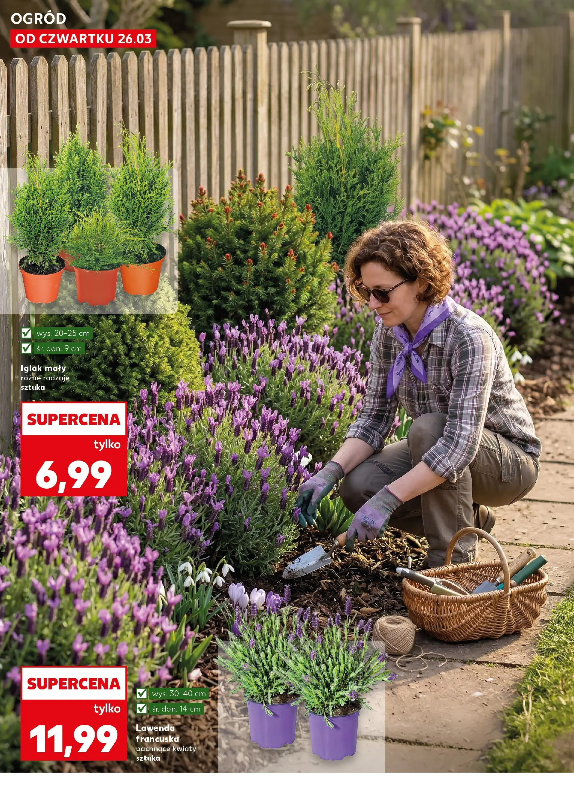 Kaufland gazetka - Ogród od 26.03.2026 - od jutra PDF | Strona: 10 | Produkty: Kwiaty