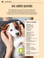 K&ouml;lle-Zoo Oster-Angebote - bis 02.04.2026