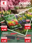 Kaufland Katalog Ogr&oacute;d ważny do 31.03