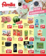 famila Nordost famila flugblatt - bis 28.03.2026