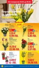 ЛИДЛ Свежи предложения в ЛИДЛ с валидност до 05.04.2026 - до 05-04-26