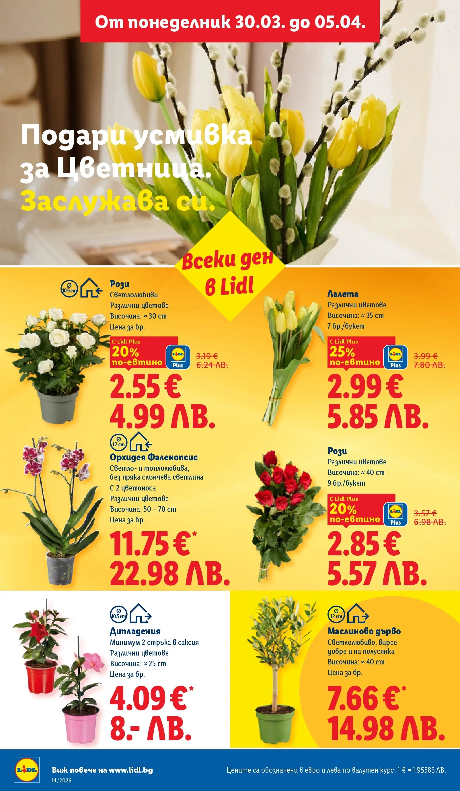 Лидл - Свежи предложения в ЛИДЛ с валидност до 05.04.2026 от 29.03.2026 | Страница: 52 | Продукти: Орхидея, Саксия Лидл - Свежи предложения в ЛИДЛ с валидност до 05.04.2026 от 29.03.2026 | Страница: 52 | Продукти: Орхидея, Саксия