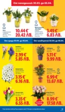 ЛИДЛ Свежи предложения в ЛИДЛ с валидност до 05.04.2026 - от 30-03-26