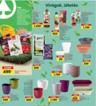 A legjobb aj&aacute;nlataink &Ouml;nnek