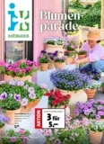 Blumen Ostmann - Blumenparade
