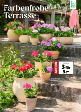 Blumen Ostmann - Blumenparade