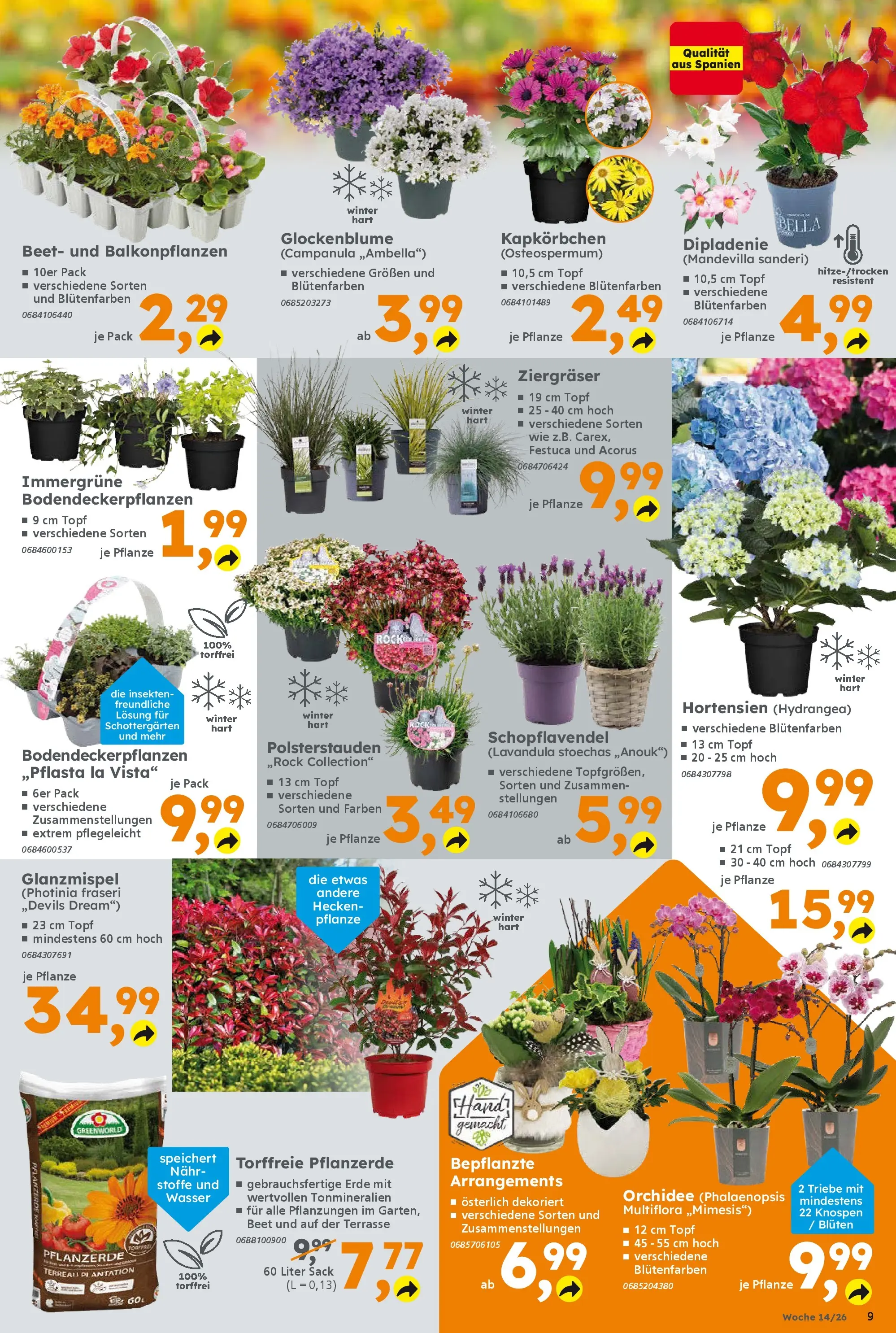 Globus Baumarkt Prospekt Dresden	 (ab 29.03.2026) zum Blättern | Seite: 9 | Produkte: Top, Pflanzerde, Orchidee, Rock