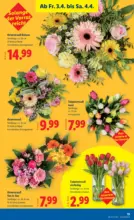 Lidl Lidl - ab 02.04.2026