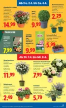 Lidl Lidl - ab 02.04.2026