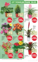 Kaufland хипермаркет Открий магията на Великден с предложения валидни до 05.04.2026 - от 30-03-26