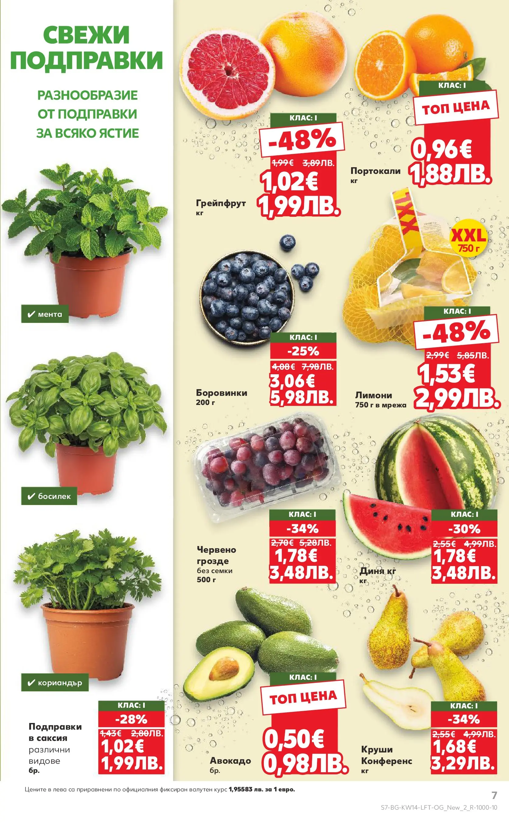 Нова Кауфланд - Открий магията на Великден с предложения валидни до 05.04.2026 от 29.03.2026 | Страница: 7 | Продукти: Подправки, Портокали, Мента, Семки