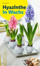 Lidl Lidl: Deluxe Magazin - bis 04.04.2026