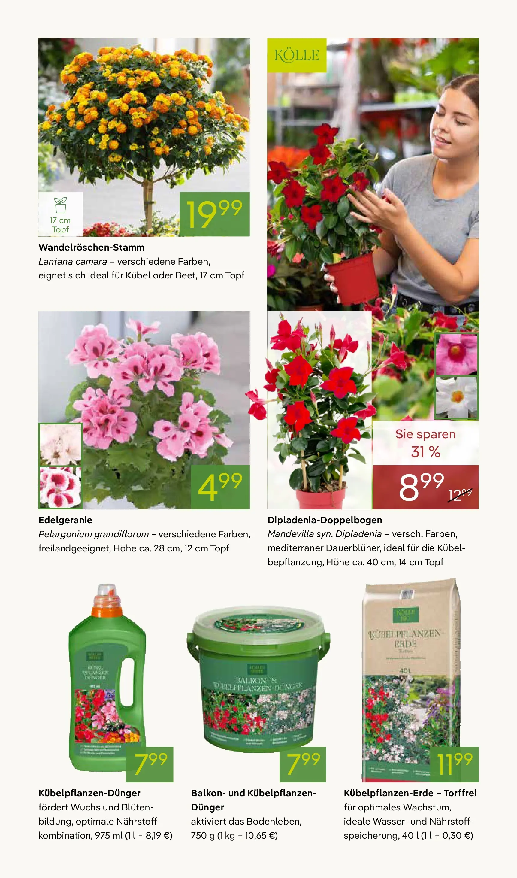 Pflanzen-Kölle - Pflanzen-Kölle: Frühling erleben (ab 06.04.2026) zum Blättern | Seite: 3 | Produkte: Wasser