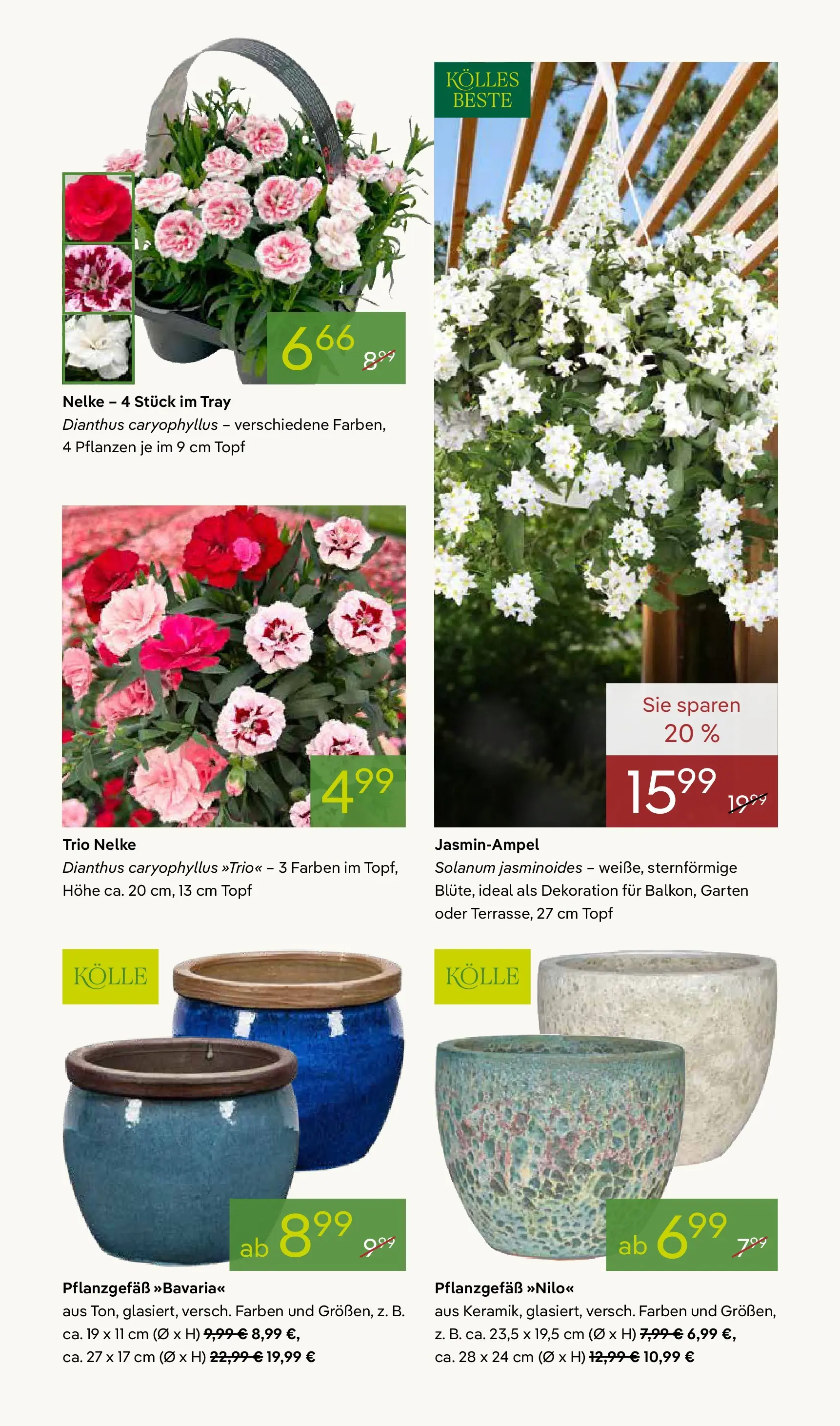 Pflanzen-Kölle - Pflanzen-Kölle: Frühling erleben (ab 06.04.2026) zum Blättern | Seite: 5