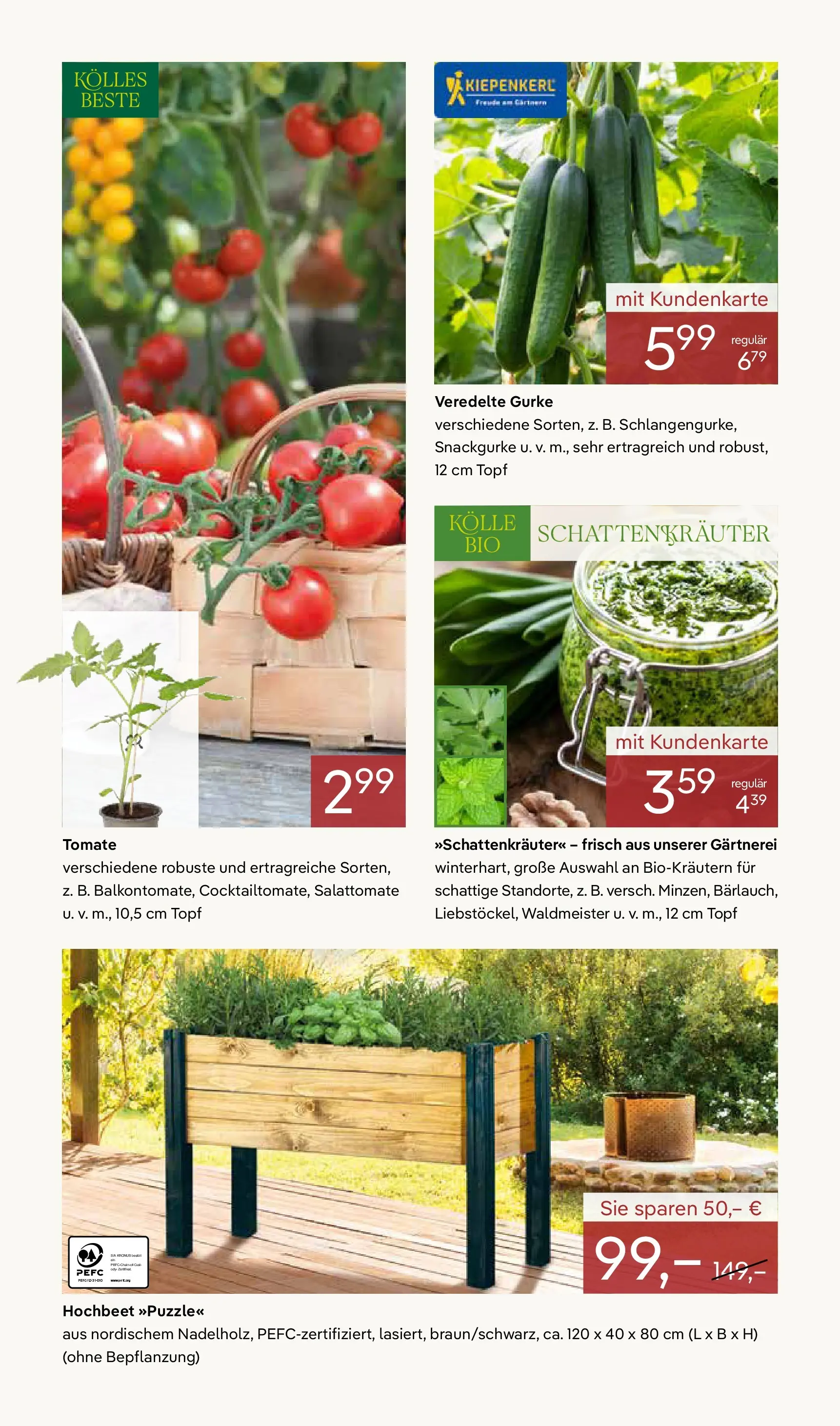 Pflanzen-Kölle - Pflanzen-Kölle: Frühling erleben (ab 06.04.2026) zum Blättern | Seite: 8 | Produkte: Hochbeet